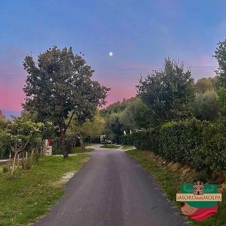 Il Moro Della Molpa *